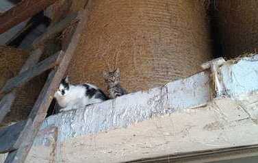 WhatsApp Image 2026-06-22 at 17.50.05 (3).jpeg