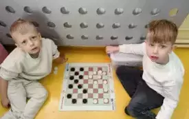 2 (8)