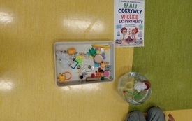 Eksperymenty  (1)