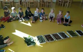 Wprowadzenie grupy w temat dar&oacute;w jesieni.