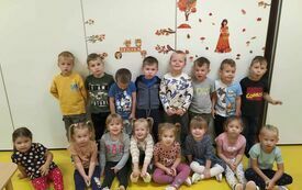 Grupowe zdjęcie motylk&oacute;w.