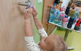 Nikola zbiera wirusy.