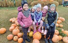 Łucja, Filip, Lena, Julia i Barbara w dyniowej scenografii.