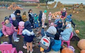Jeżyki podczas ogniska.