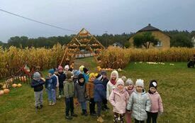 Biedronki na farmie dyń.