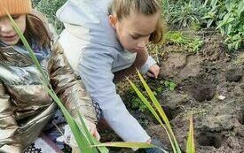 Lena i Aniela sadzą cebulki żonkili