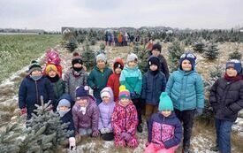 Klasa 0 na plantacji choinek