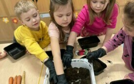 Sadzenie warzyw przez grupę Smerfy.