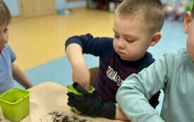 Jakub z grupy Smerfy sadzi marchewkę.