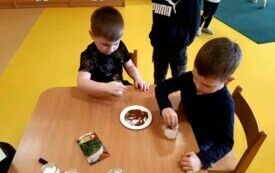 Szymon i Fabiś sieją nasiona rzeżuchy.