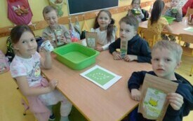 441430097_992403735864783_6451266095456752674_n