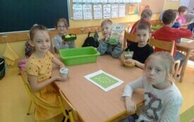 436968116_3360864857539523_3858558699173706095_n