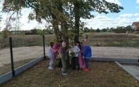 IMG_20240930_120100[1] (1)