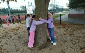 IMG_20240930_114306[1] (1)