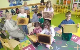 LIski - Dzień Pszczoły (12)