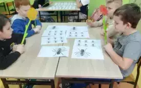 Zdjecie3