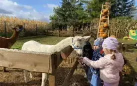 Messenger_creation_B274CE0B-EAD8-45BE-99DE-56E7840D438C