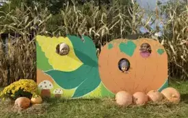 Messenger_creation_73EADEAB-8D2A-427D-B3E6-44DF877A0CFE