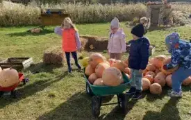 Messenger_creation_52F2F858-001C-4434-9365-ED062AB198BE