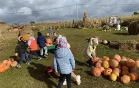 Messenger_creation_48880D09-7C7E-4A71-86D0-A74C4D94D2F1