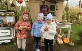 Messenger_creation_334689C2-762E-4E33-88F3-DF0D54DB920F