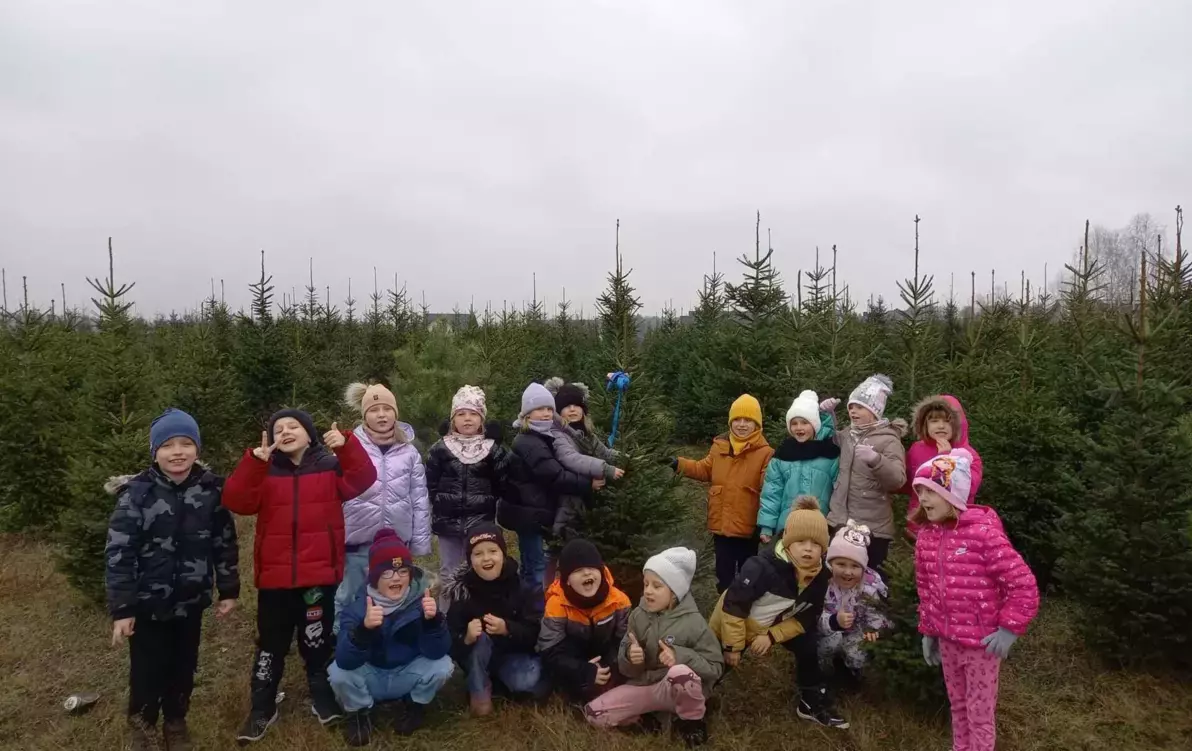 Zdjęcie do Spacer Jeżyk&oacute;w na plantację choinek