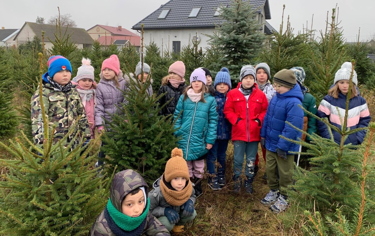 Zdjęcie do Wycieczka klas ,,0&rdquo; i &bdquo;I&rdquo; na plantację choinek