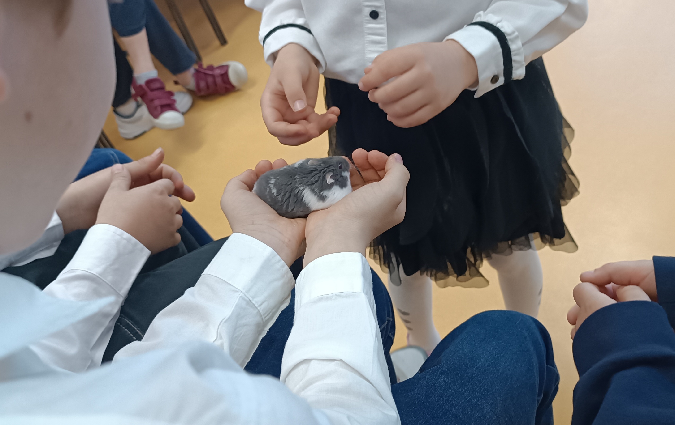 Zdjęcie do Niezwykli goście w naszej szkole &ndash; spotkanie ze światem zwierząt &nbsp;